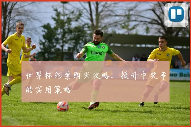世界杯彩票购买攻略:提升中奖率的实用策略