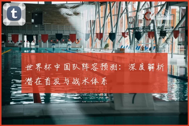 世界杯中国队阵容预测:深度解析潜在首发与战术体系