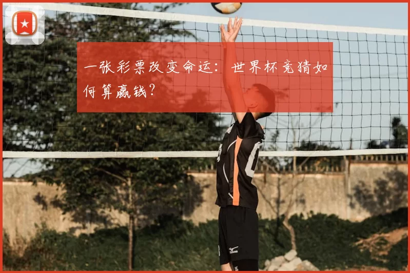 一张彩票改变命运：世界杯竞猜如何算赢钱？