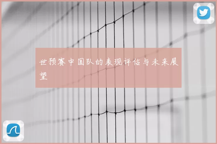 世预赛中国队的表现评估与未来展望
