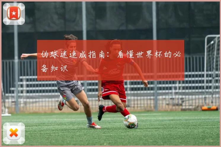 伪球迷速成指南:看懂世界杯的必备知识