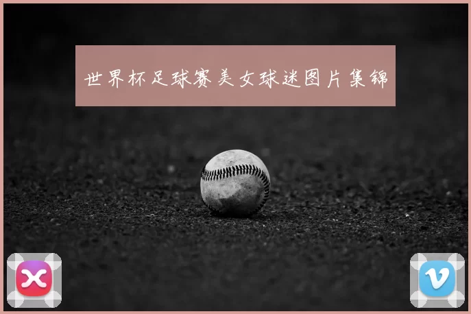 世界杯足球赛美女球迷图片集锦