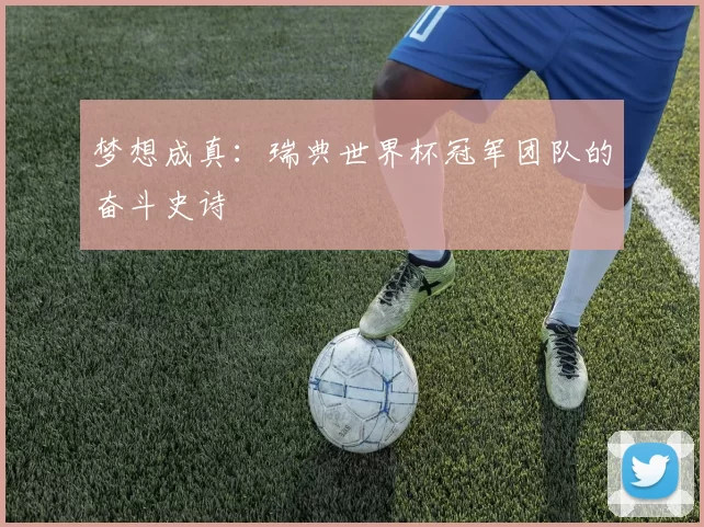 梦想成真:瑞典世界杯冠军团队的奋斗史诗