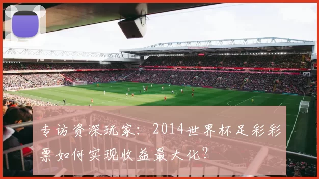 专访资深玩家:2014世界杯足彩彩票如何实现收益最大化?