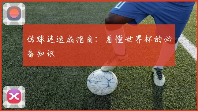 伪球迷速成指南:看懂世界杯的必备知识