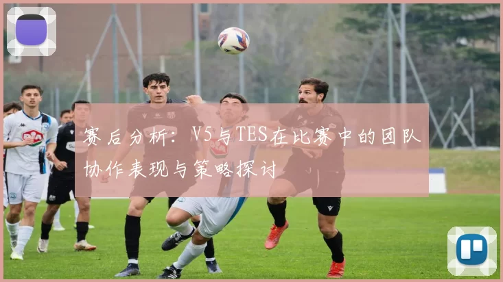 赛后分析:V5与TES在比赛中的团队协作表现与策略探讨