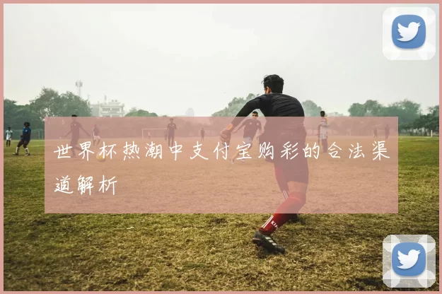 世界杯热潮中支付宝购彩的合法渠道解析