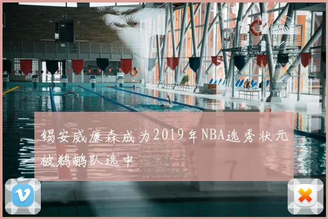 锡安威廉森成为2019年NBA选秀状元被鹈鹕队选中