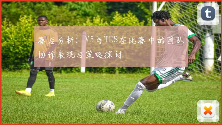 赛后分析:V5与TES在比赛中的团队协作表现与策略探讨