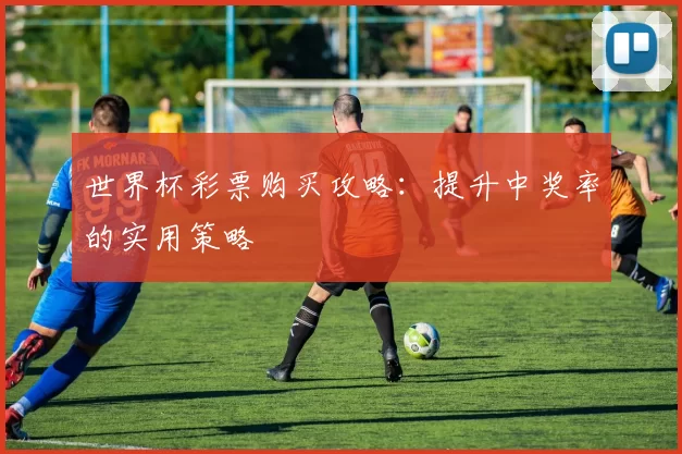 世界杯彩票购买攻略:提升中奖率的实用策略
